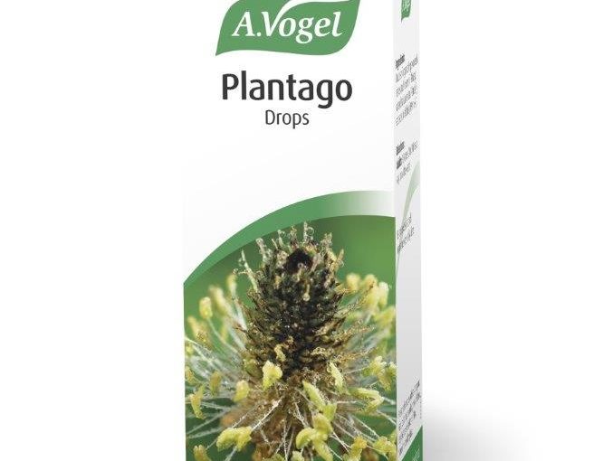 A. Vogel Plantago Oral Drops 50ml