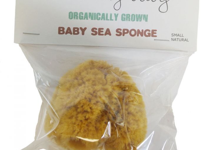 Beaming Baby Organically Grown Baby Sea Sponge (large)