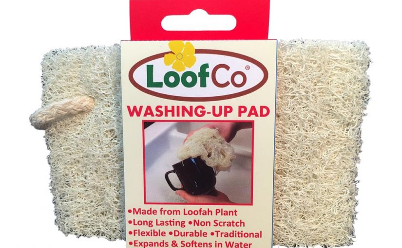 LoofCo Washing Up Pad